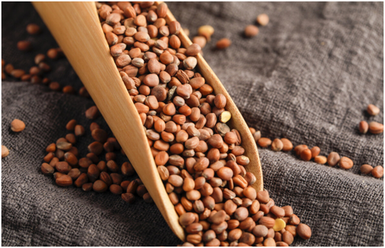 肠胃|吃一次相当于10斤盐,消化科主任:你若天天吃,胃或烂如“蜂窝”