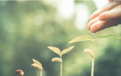 诚然情感之事|努力上进,终有成就,的八字命格