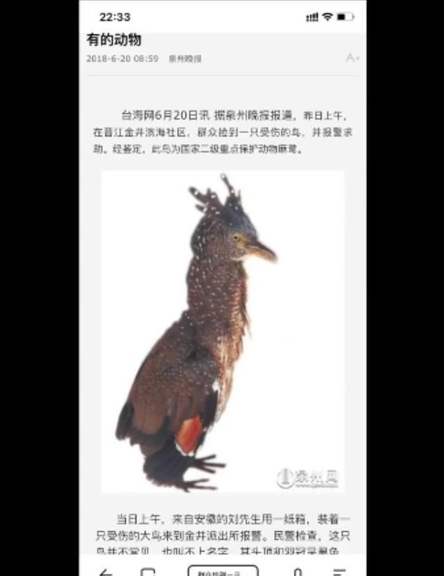 深圳市 广西女子家中罕见现“牢底坐穿兽” 报警鉴定：国家二级保护动物