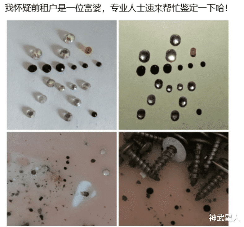 神武星人|“我怀疑这位前租户是一位富婆,有没有专业人士,帮我确定一下!”哈哈哈