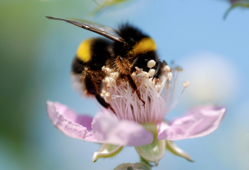 生肖夜读|7月底，漫漫长路，走得坚定，蔷薇寄情，3生肖破镜重圆，相守一生