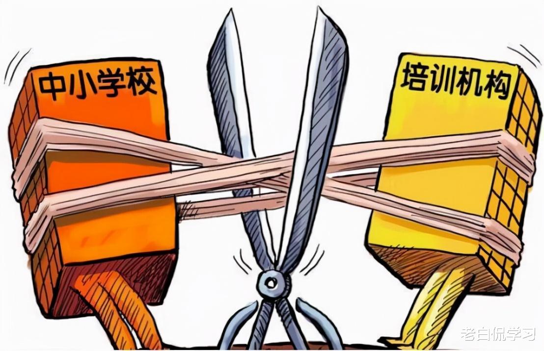 老白侃学习|“双减”政策出手后,新补课模式成“潮流”,官方做出回应