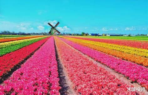 交易 一文读懂期货的前世今生！