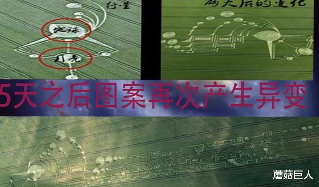 金字塔 异星人的黑幽默,星际之门拯救史前人类,人类还能相信历史吗?