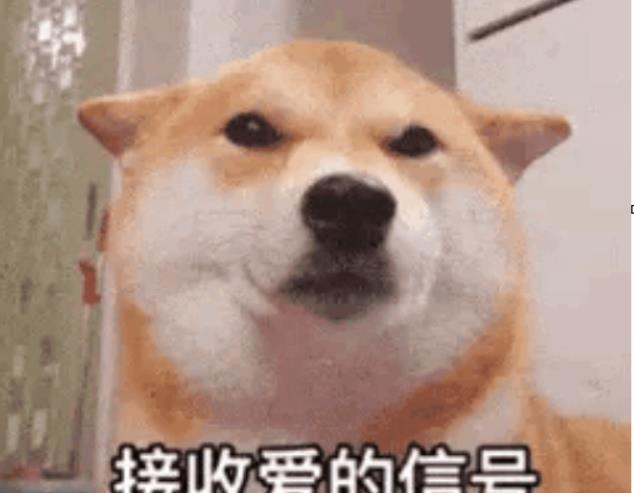 桉月|表情包：爆笑可爱gif表情合集