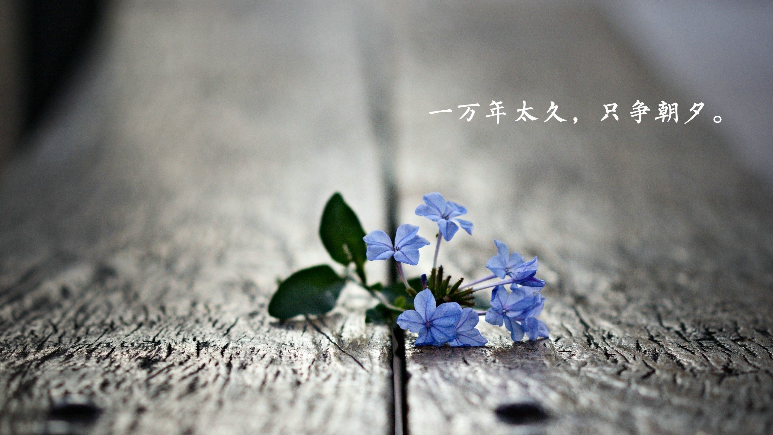遇见小媛|你的心态，决定你的状态