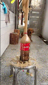 学姐说育儿|神回复：乔杉如果在洗脚城被抓，会退出演艺圈吗？神评笑死人