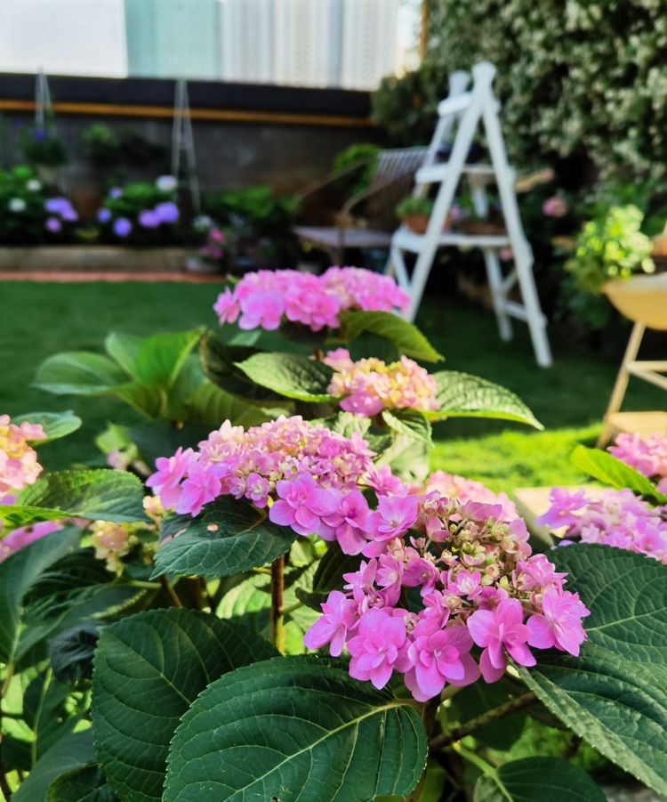 为这300㎡露台花园，毫不犹豫买了这房子，在城市屋顶过上田园生活