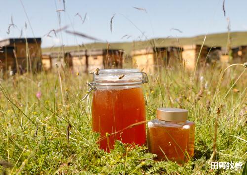田野牧蜂|蜂蜜暗红色正常吗? 什么色的蜂蜜好？