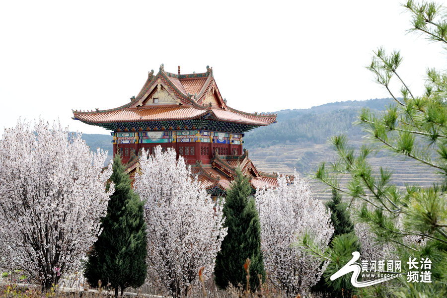 黄河新闻网长治 振兴小镇，你怎么这么好看？