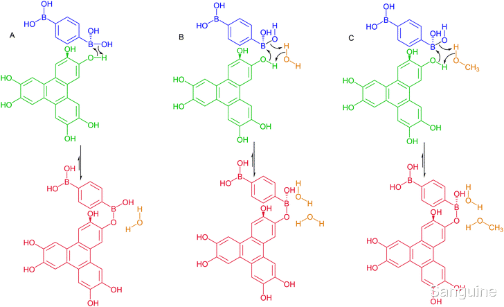 美国食品药品监督管理局 二维共价有机骨架的成核和生长：COF 单体的聚合和结晶