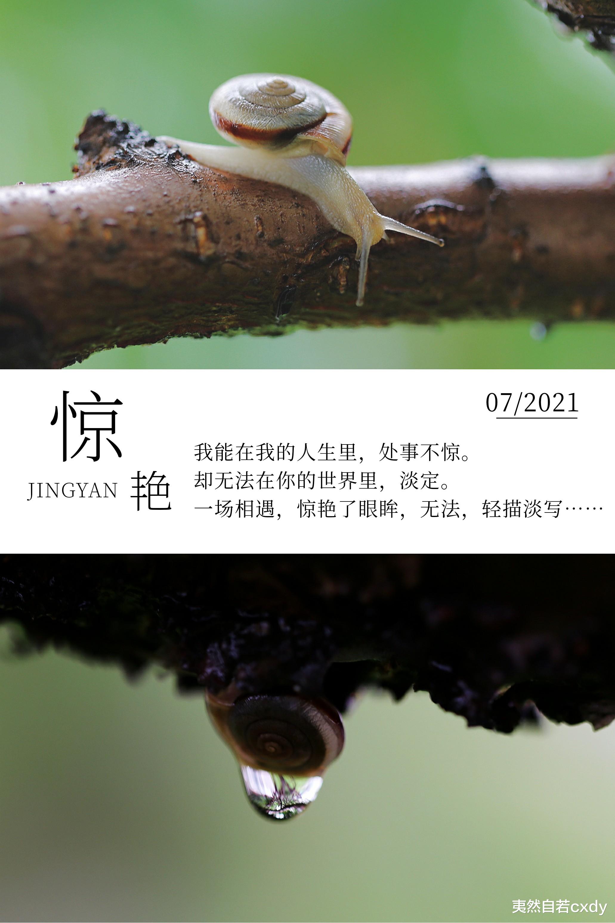 夷然自若cxdy|湿了衣裳，却醉了心头，这些美好值得付出