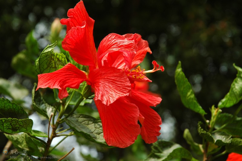 池塘|不与穷人交朋友