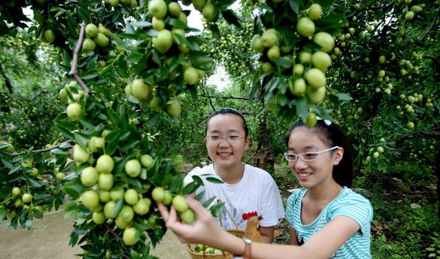 处暑|处暑之后，饮食宜清淡温补，分享6道适合秋天吃的菜，去燥又滋润