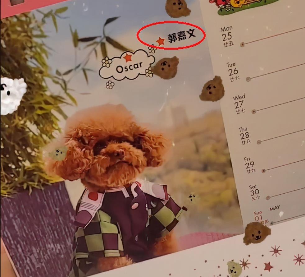 郭嘉文|郭嘉文晒情侣年历，只留下宠物照片，李泽楷真的分手了