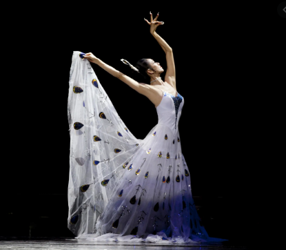 杨丽萍|杨丽萍与男徒弟同框亲昵，豪宅庭院极阔气，网友：人老有小男人陪