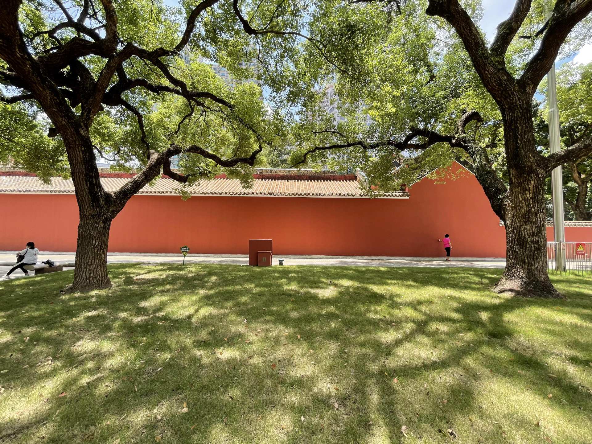 英偉達|國產手機陪跑？Reno6 Pro+實力打臉，拍照對比蘋果三星也不虛