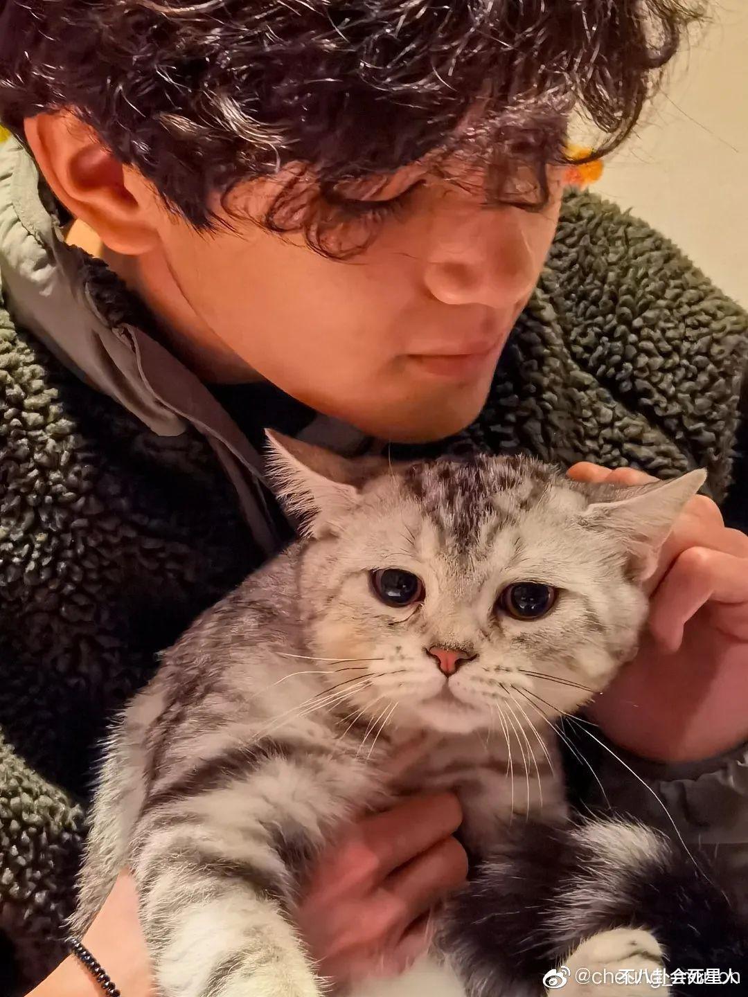 袁咏仪|袁咏仪张智霖在内地接一个综艺赚3千万，却没把儿子“教”好？