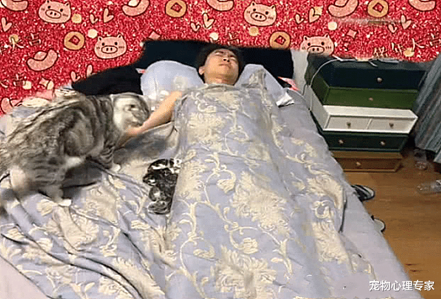 兽医 男子睡到一半正要翻身，媳妇却大喊别动，瞟了一眼被子后定住了