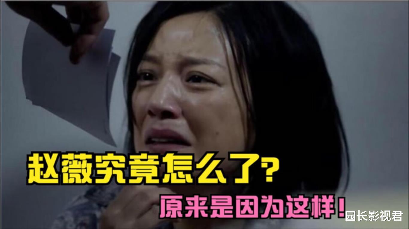 赵薇|赵薇连夜跑路？亲日辱华、坑害股民，被封杀一点都不冤