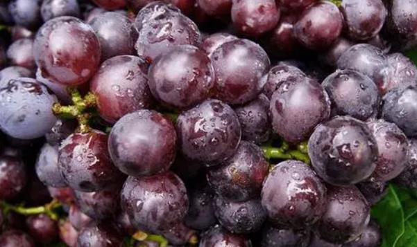 水果|血脂高的人夏天能吃葡萄吗？医生：想降脂的人，这5种水果可常吃