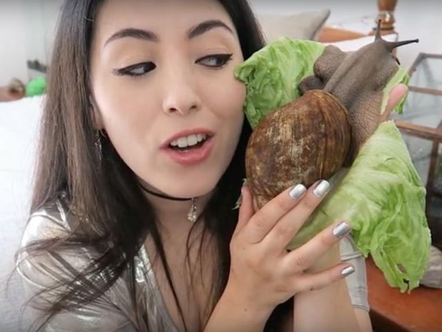  吃蜗牛佩服非洲人，当地蜗牛差点灭绝，多亏专家来帮忙