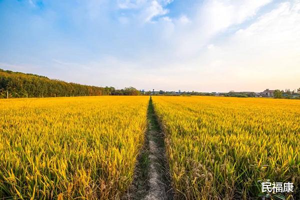 肿瘤|秋分已过，“除燥御寒”赶紧重视起来，做好5件事有帮助