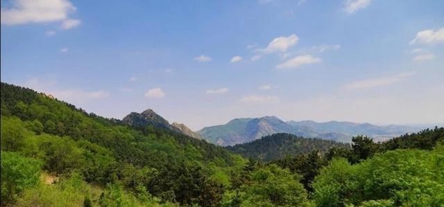 老猫讲戏 山东有座水一样质感的城市，蓝天碧水、生意盎然，郁郁葱葱！