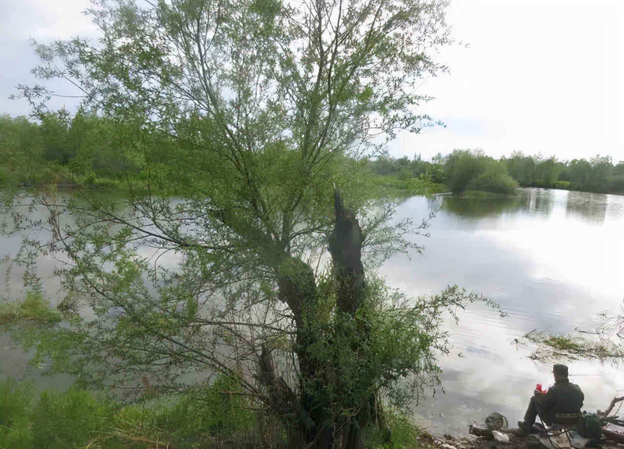 |弄明白鱼不开口的6大原因，是钓鱼人必备的技能之一