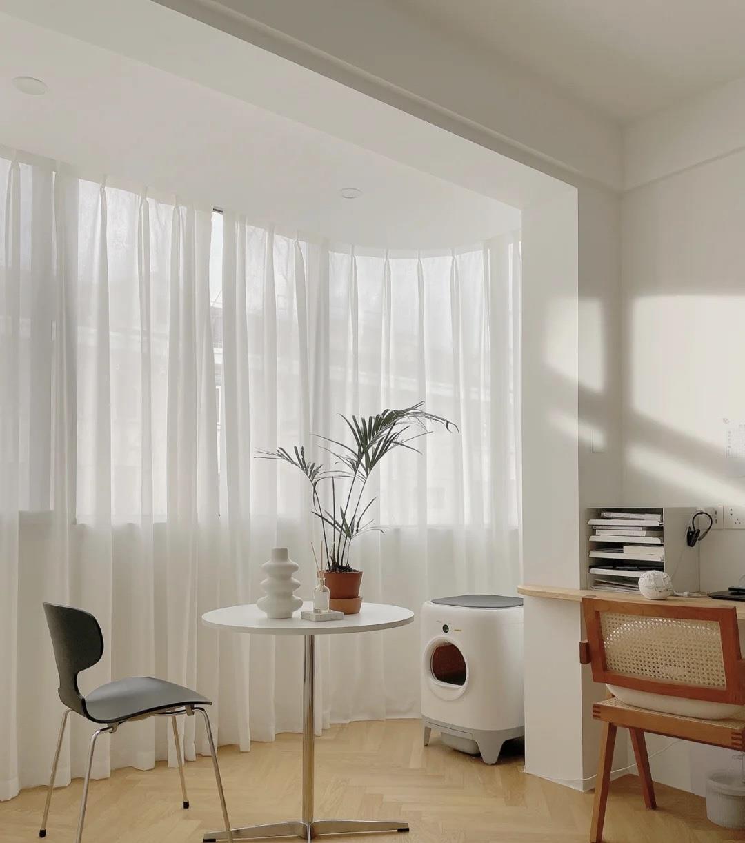 28岁女主与猫55㎡新居，处处干净清爽，井然有序，圈粉无数