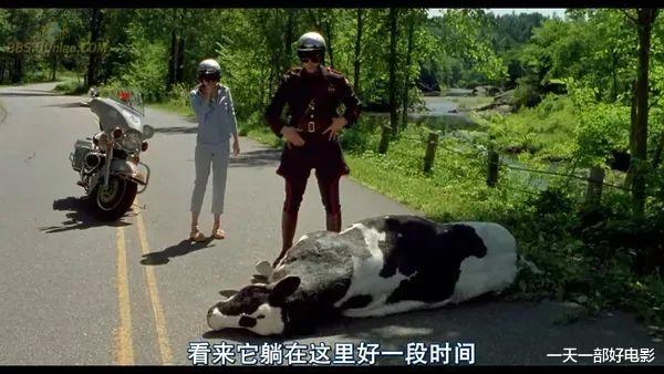 电影|不要欺负老实人,否则你连道歉的机会都没有