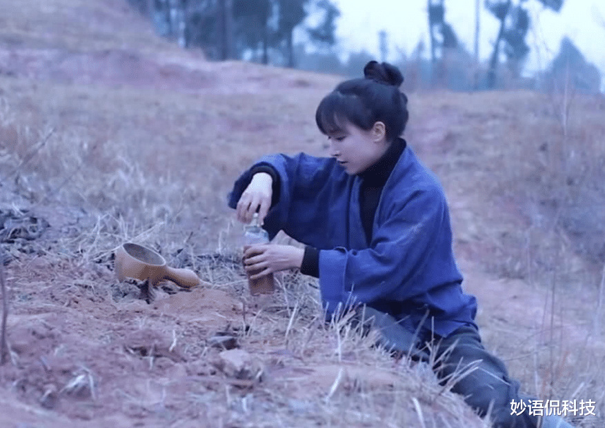 李子柒|坐拥1亿粉丝的李子柒，视频停更两个月多，背后原因已经浮现