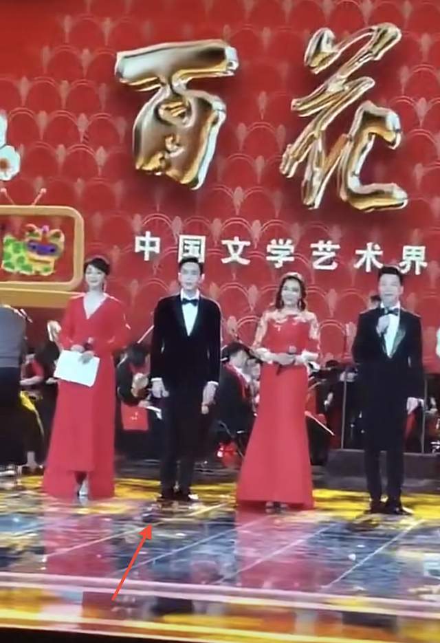 张若昀|央视文联春晚主持阵容曝光，任鲁豫再次挑大梁，张若昀跨界不怯场