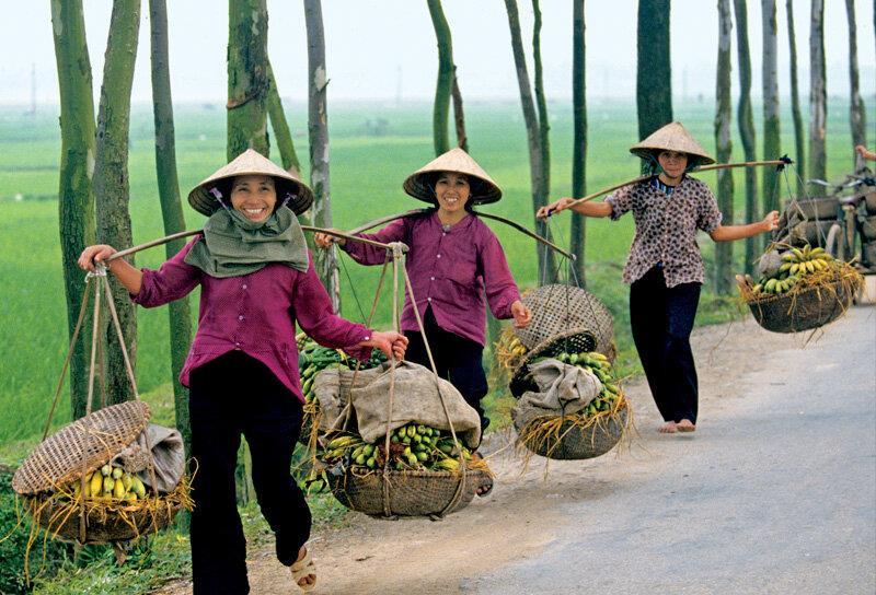 有關越南的9個事實-圖4
