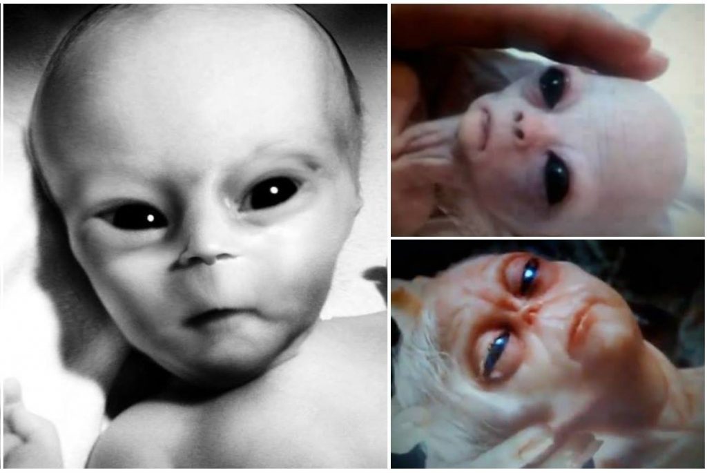  人类有一天会成为克隆人吗？