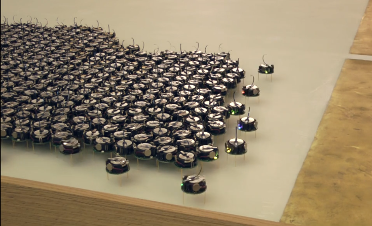 昆虫 有趣的微型机器人（一）