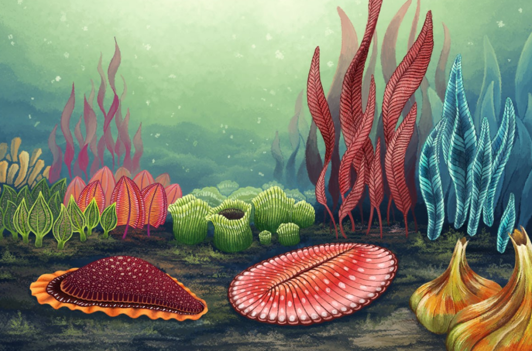 科学家 带你感受速度的世界：光速是已知最快的速度？速度的极限是多少？