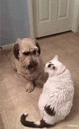 学姐说育儿|“早上在公园发现的,这里是不是发生了大战啊?”哈哈哈!