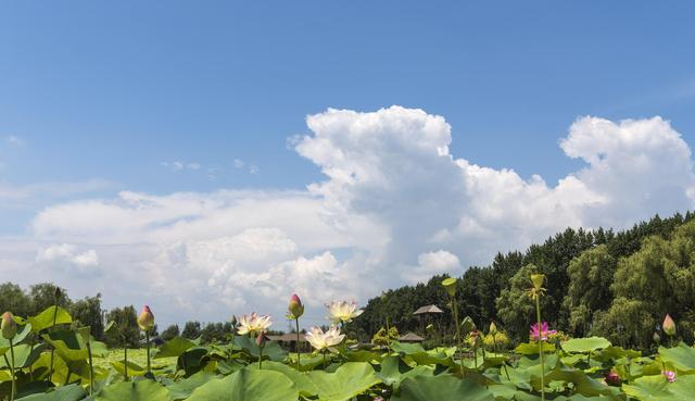 遇到那点事 辽宁或有“新规划”，一县有望“撤县设市”，或将助力锦州发展