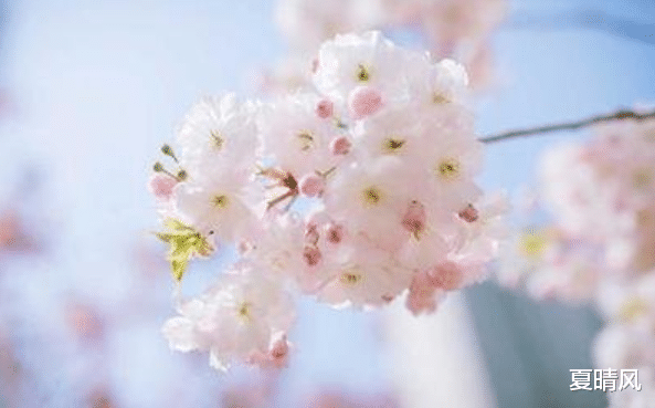 夏晴风|不想余生悲凉，就不要嫁给这些男人，嫁了后早晚会后悔