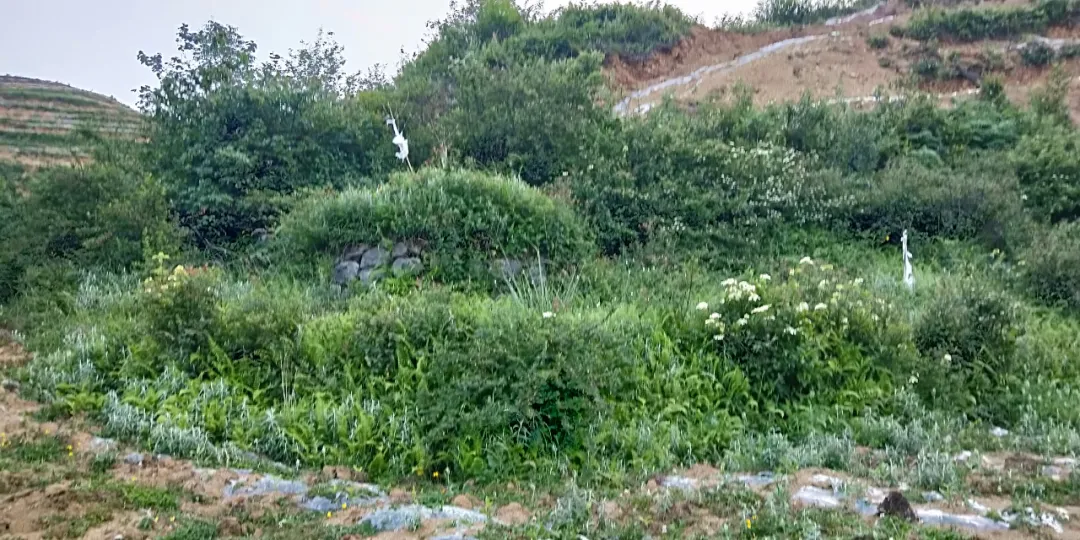 玄风八字运势|阴宅风水十九问，每问都具实操性