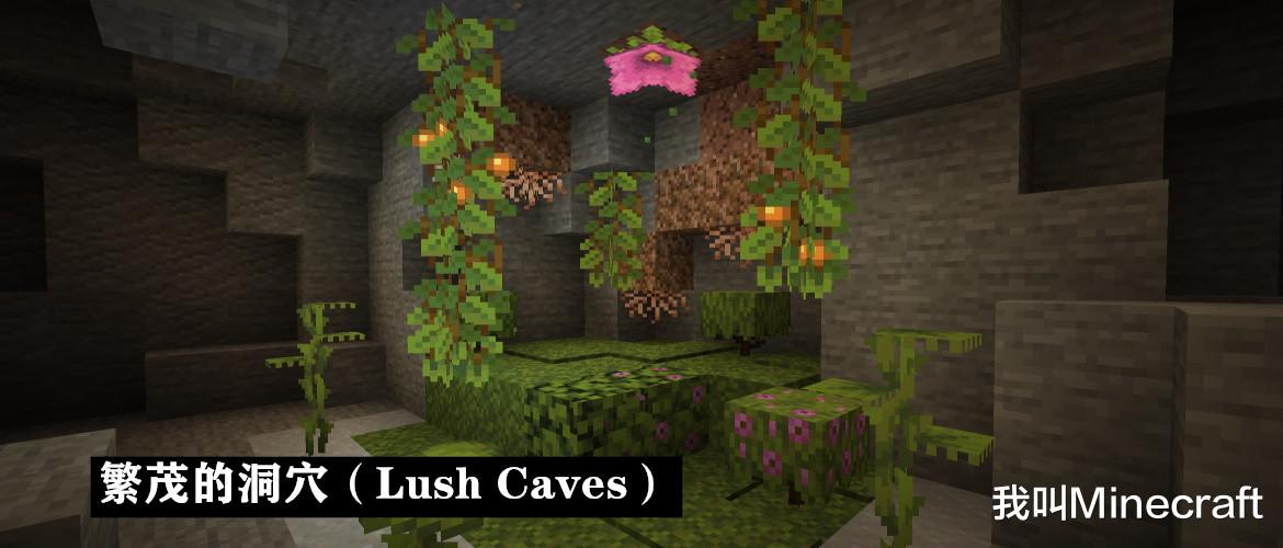 我的世界|我的世界21w05a:繁茂的洞穴来啦!杜鹃花、孢子花、发光浆果……
