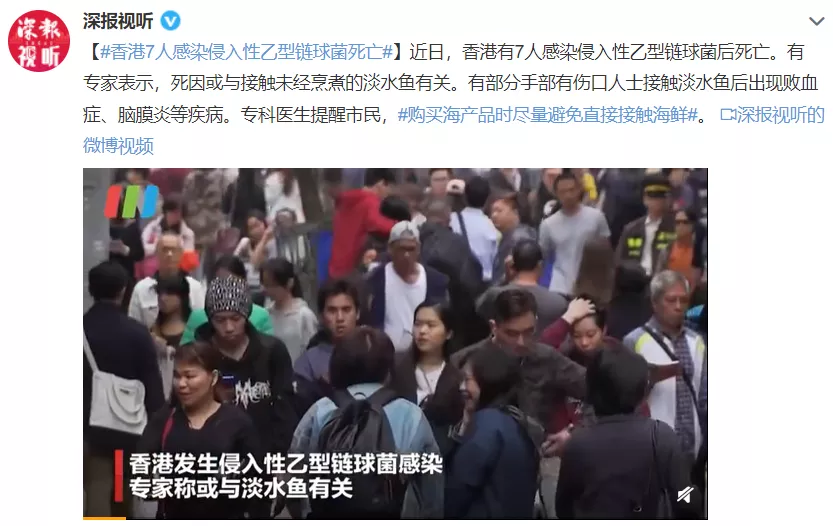 小旅 又见致命病菌！香港79人感染7人死亡！处理这种鱼要加倍小心