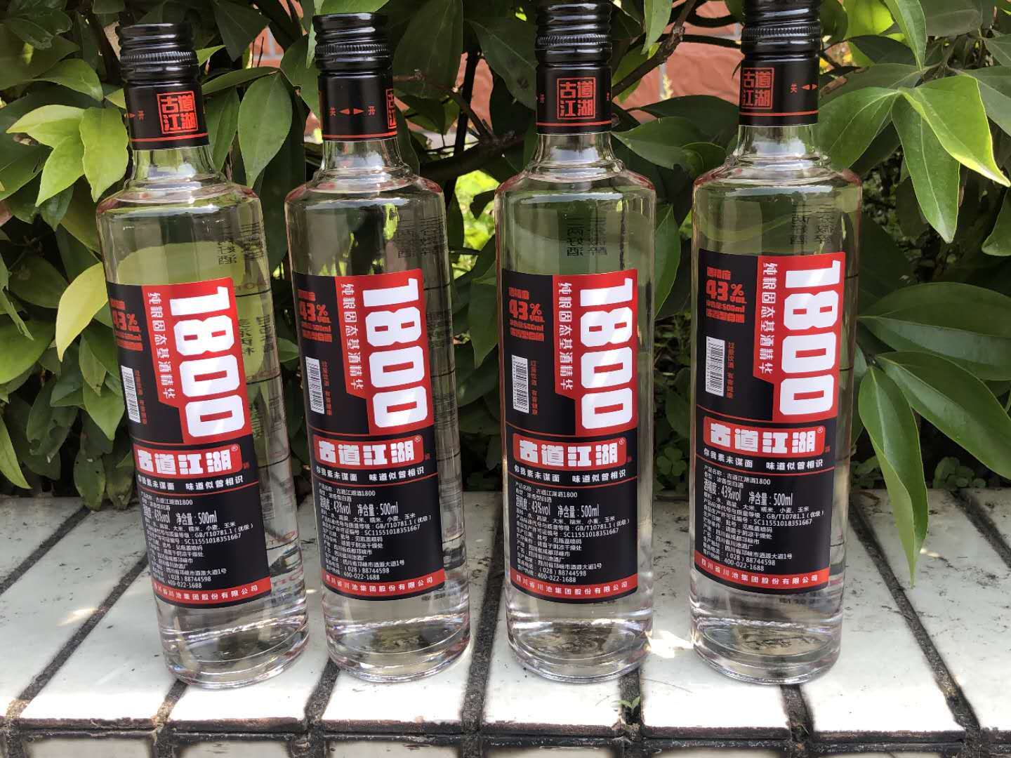 |酒桌上轮到你敬酒,别傻坐着不知所措,牢记这3句万能的话,足够