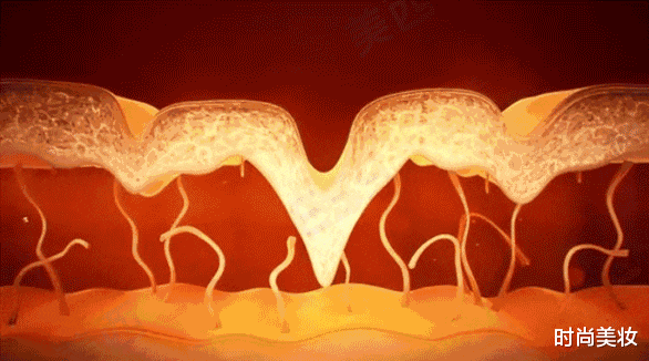 时尚美妆|51岁许晴保养方式“成谜”，和刘若英同年出生，对比稍显“吝啬”