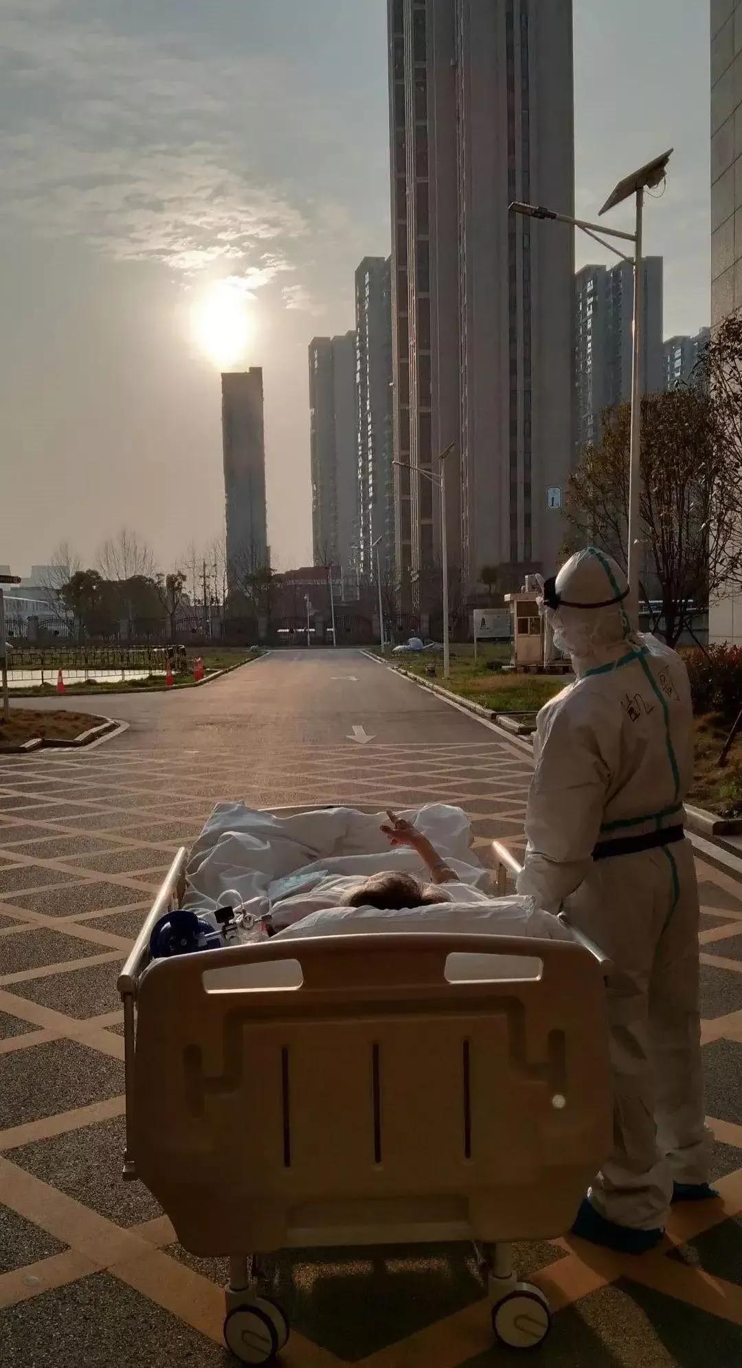 微风执杯煮酒论自然 生活多艰，自有爱同行，催人泪下的十五个感人瞬间