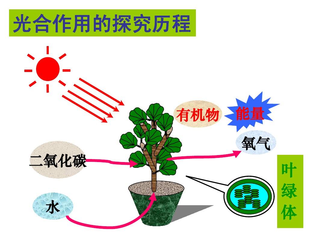 中国人做到了!我国科学家首次用一氧化碳合成蛋白质,已具备万吨产能,以后不用进口美国大豆了?