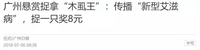 蝙蝠 世界十大吸血生物，你不知道的动物真面目！