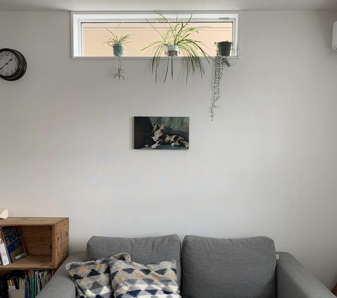 日本乡下自建房，芝麻大点空间住下一家四口，很有生活的气息！