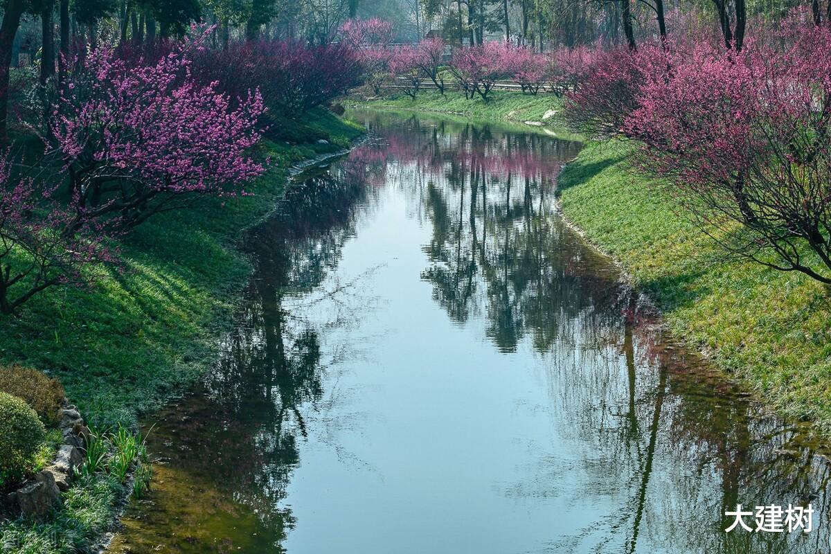 契税|如何看待成都的湖居情节？不要高估产城湖，核心湖居板块就这几个